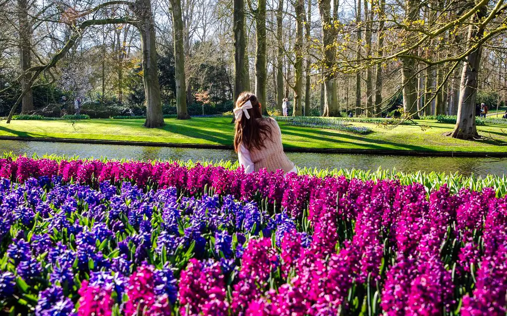 Keukenhof Entry with Transfers from Amsterdam
